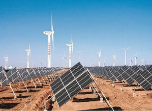 未來之路 攜手共筑太陽能發(fā)電技術(shù)服務(wù)