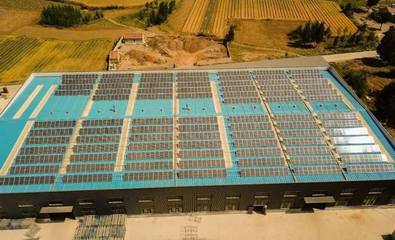 老板在工廠屋頂裝光伏，節(jié)省590萬支出！揭秘太陽能發(fā)電技術(shù)服務(wù)的價值